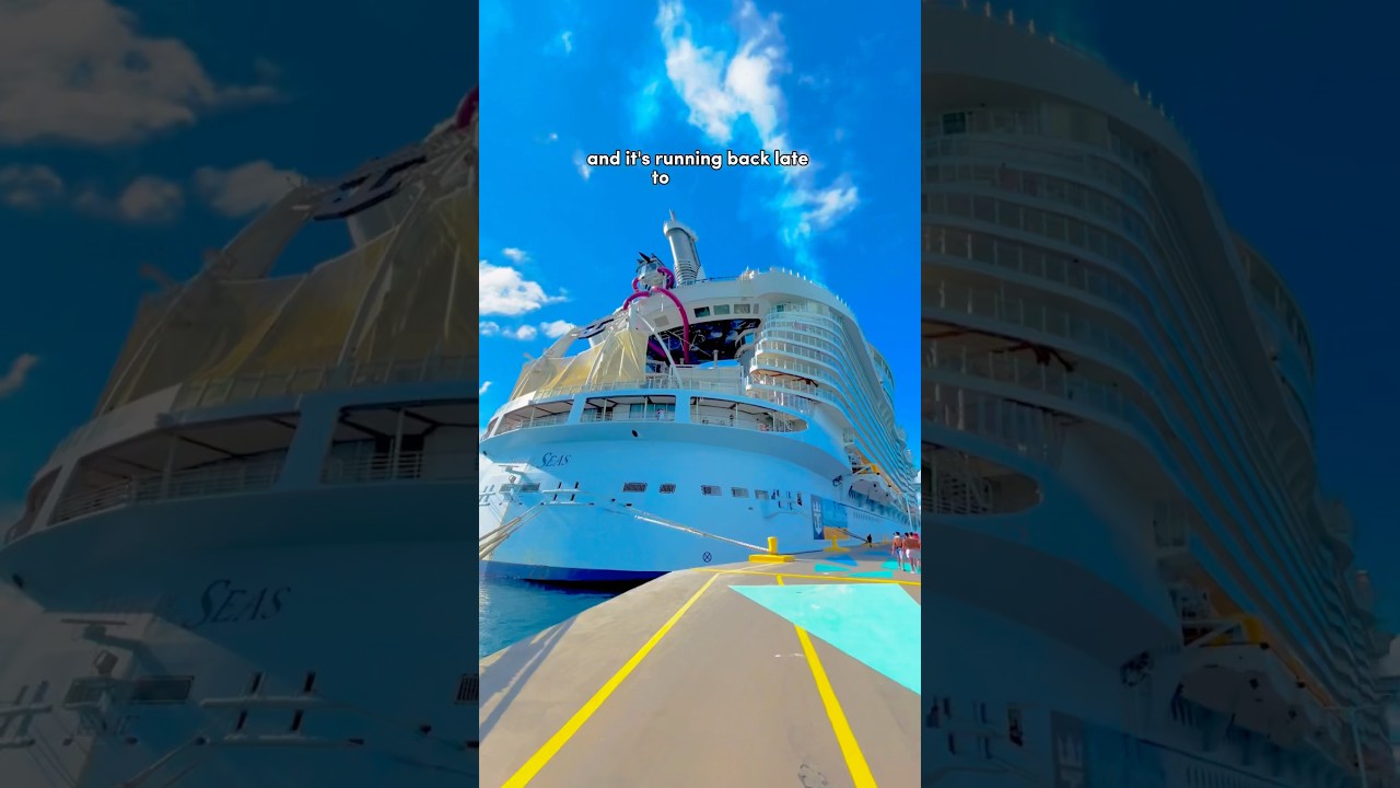 This is what happens if you miss the ship! 😬