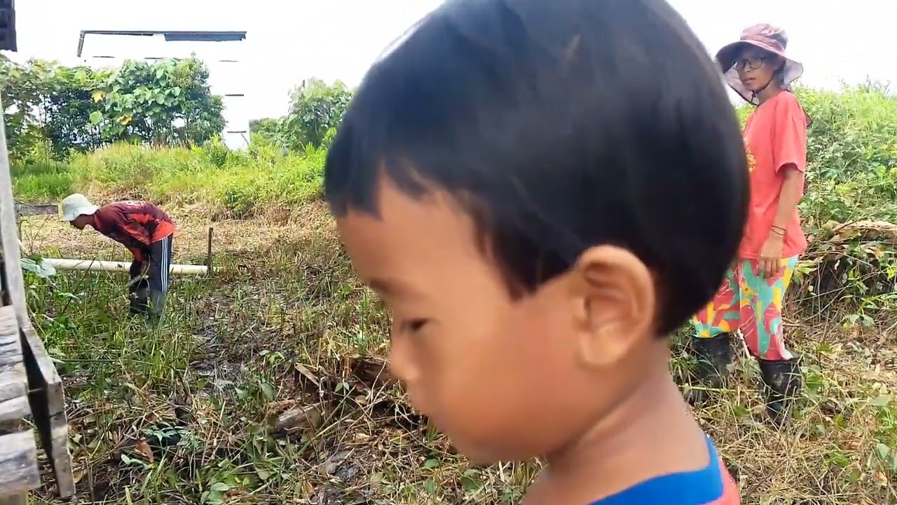 MEMBERSIHKAN LAHAN BARU,MENGUMPULKAN RUMPUT2 UNTUK DIBAKAR