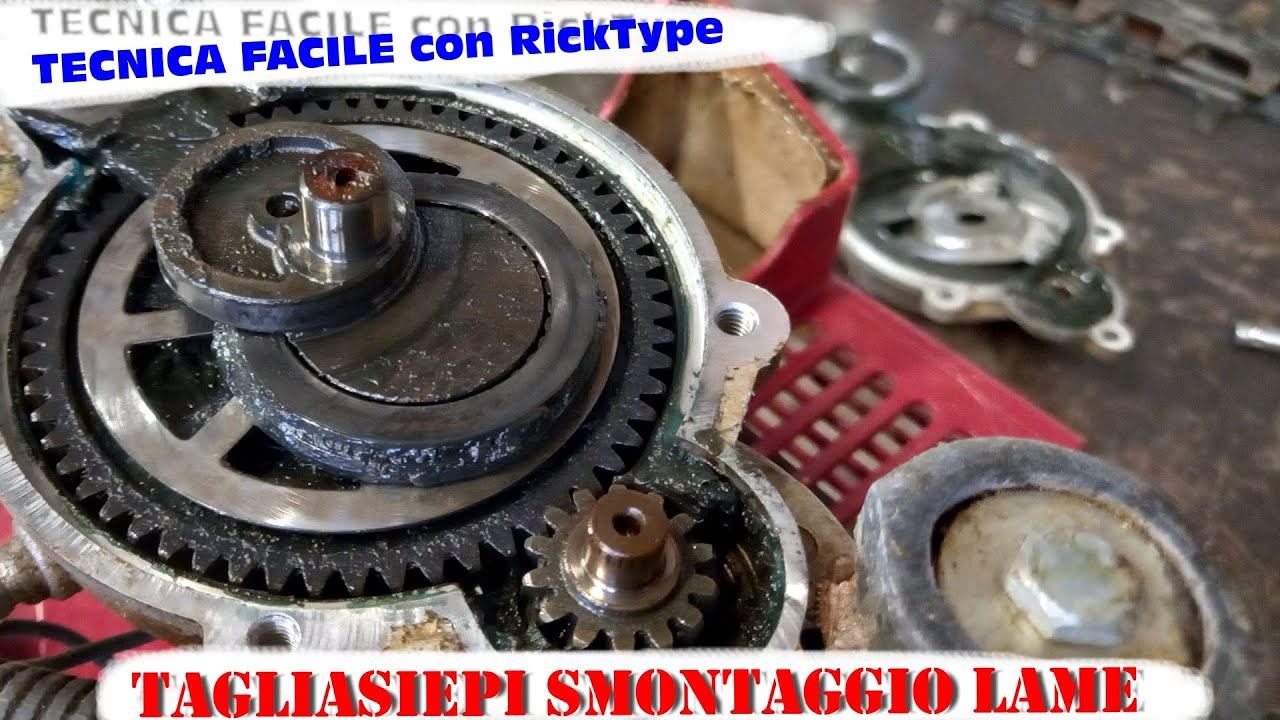 Smontaggio lame tagliasiepe Kawasaki, parte1