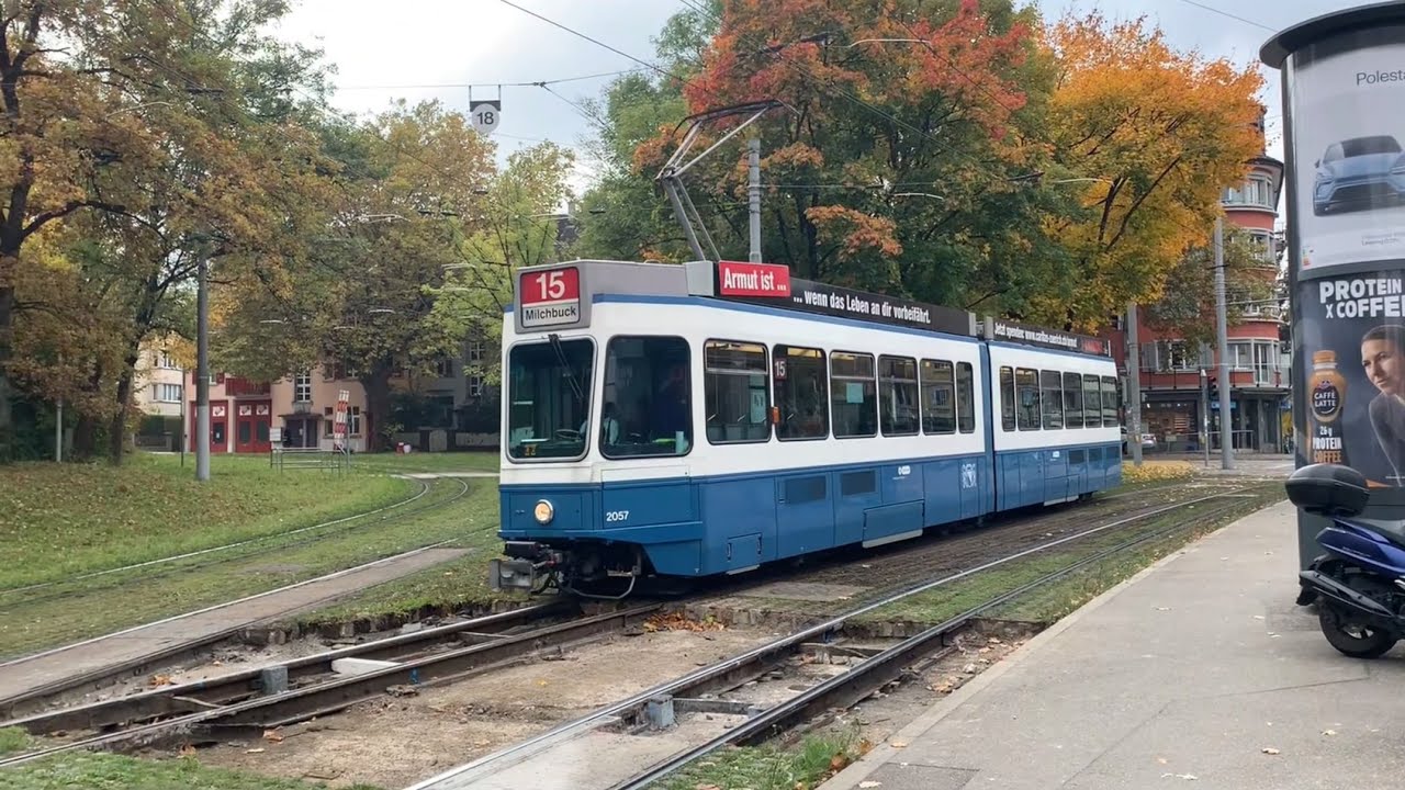 The vehicle fleet of the Zurich public transport company (VBZ)