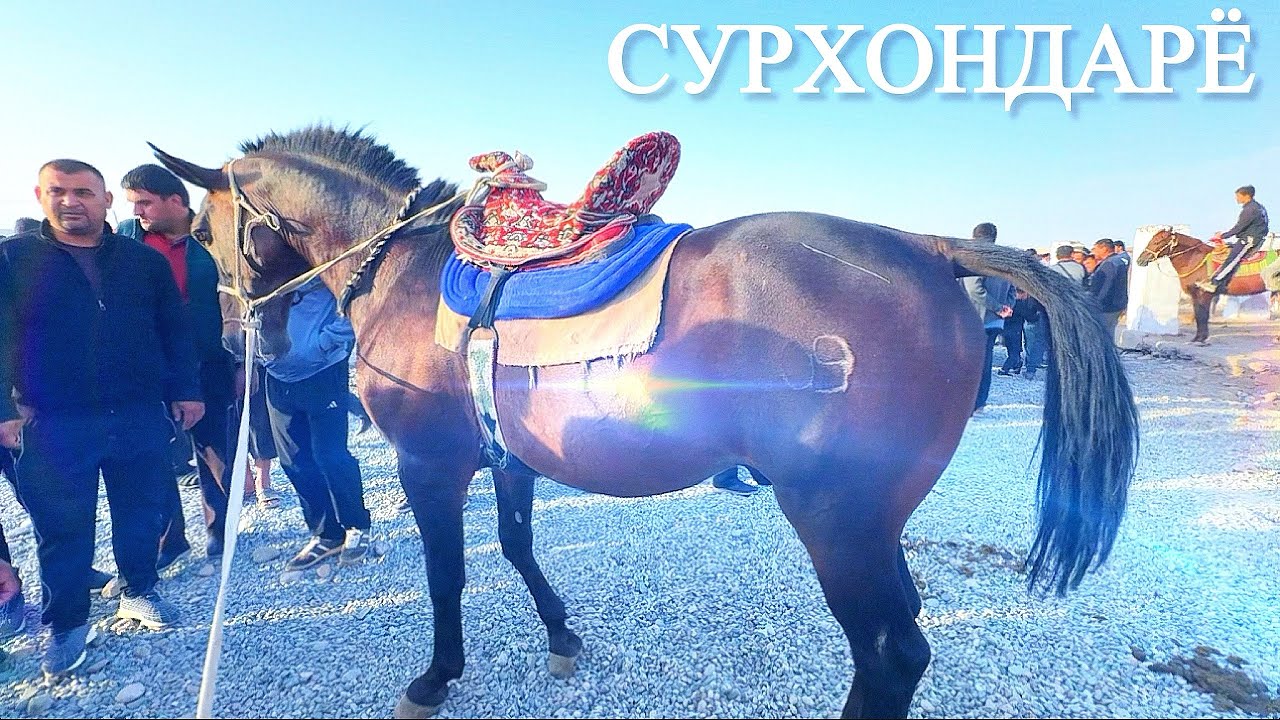 Сариосиё Пайшанба От Бозори