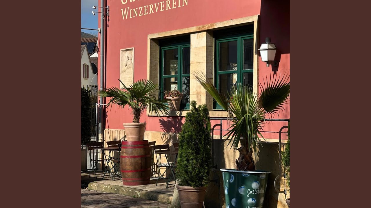 Sonne über die Pfalz 3