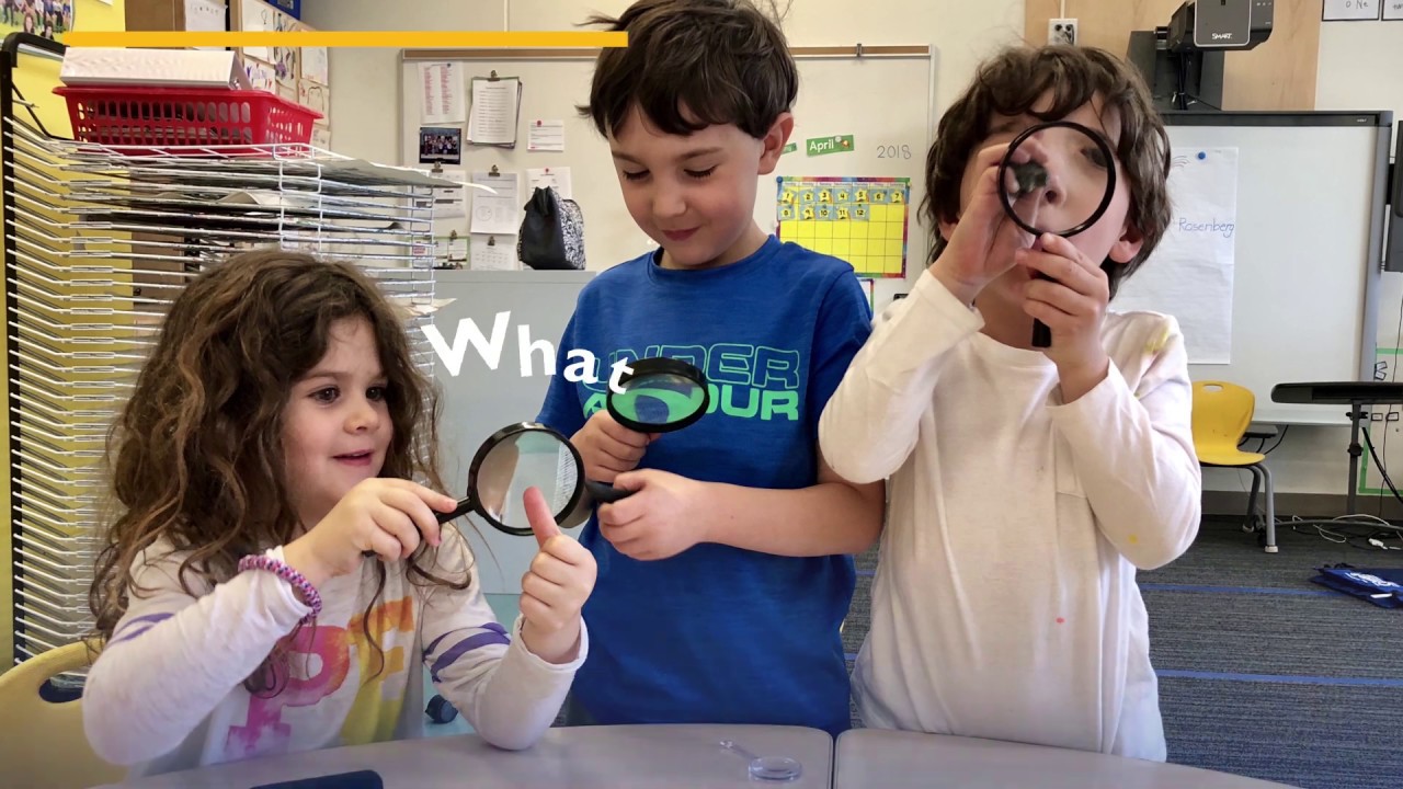 What questions are we asking in Preschool?