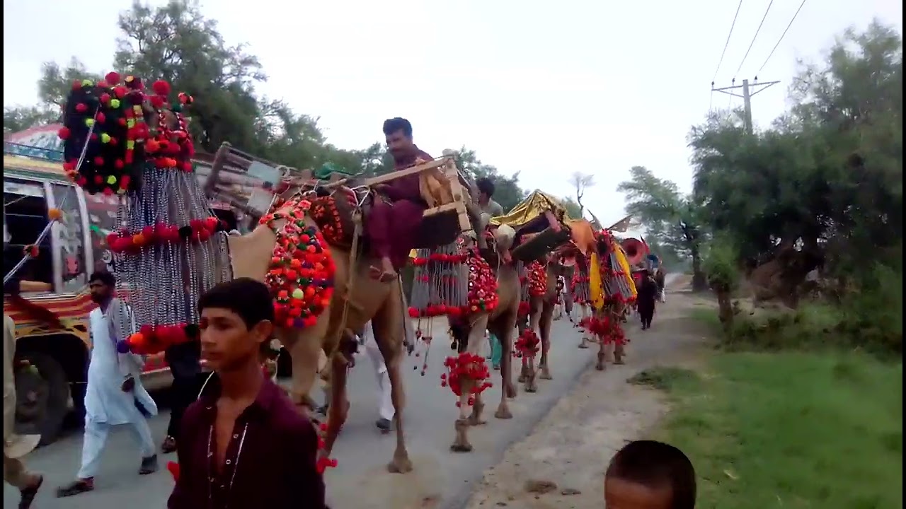 jmat baba haji sher 2023
