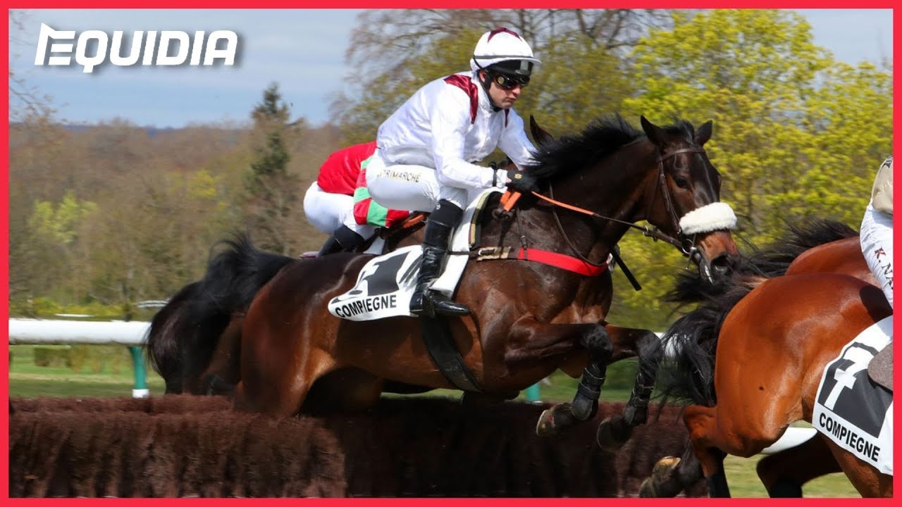 PRIX JOURNALISTE 2022 | La Danza s'impose | Compiègne | Groupe 3