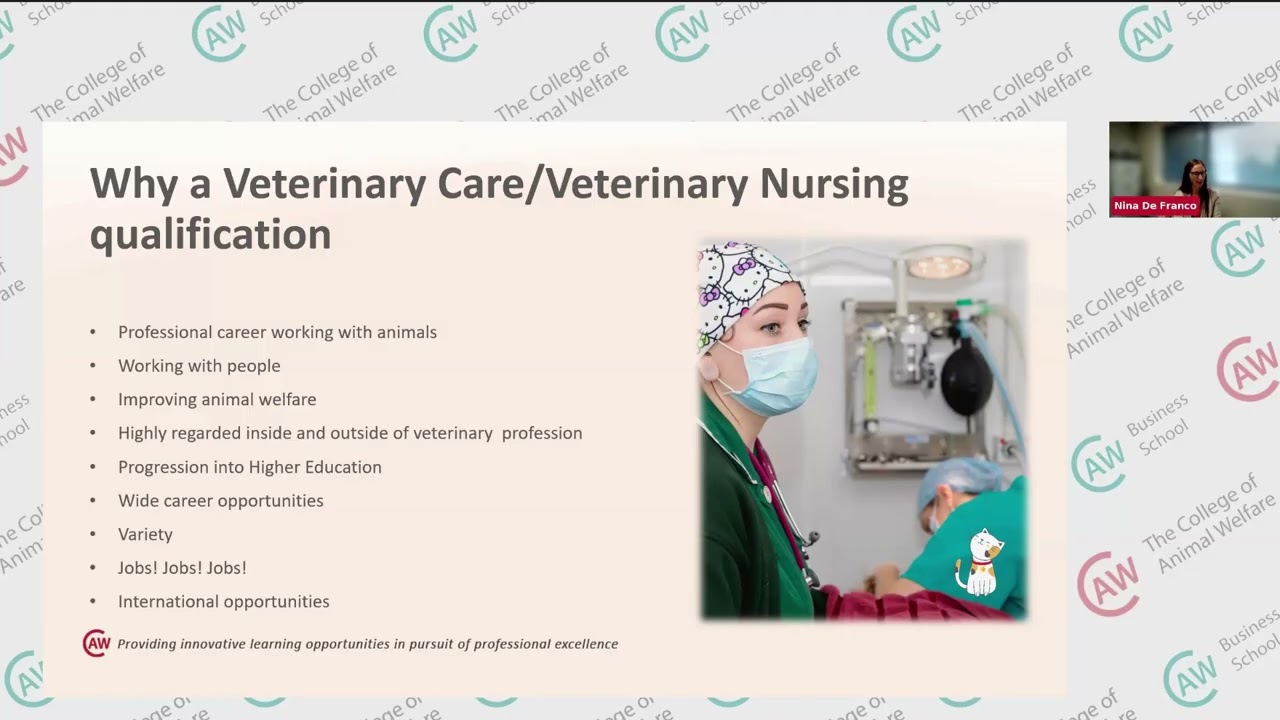 Webinar: Veterinary Nursing courses at The College of Animal Welfare - 28 August 2025