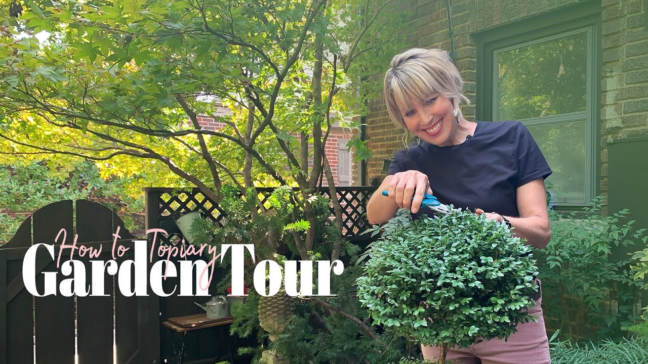 How to Create a Multi Ball Topiary