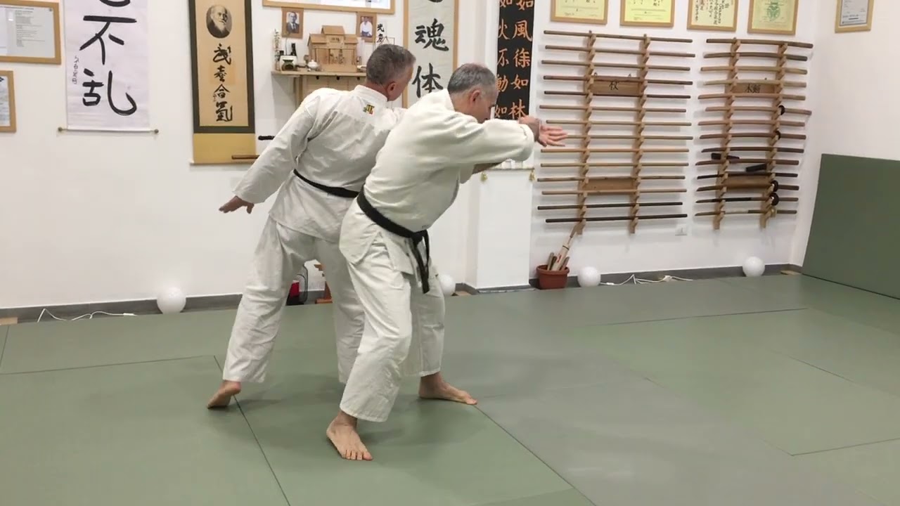 Takemusu Aikido - Programma gokyu Tai Jutsu