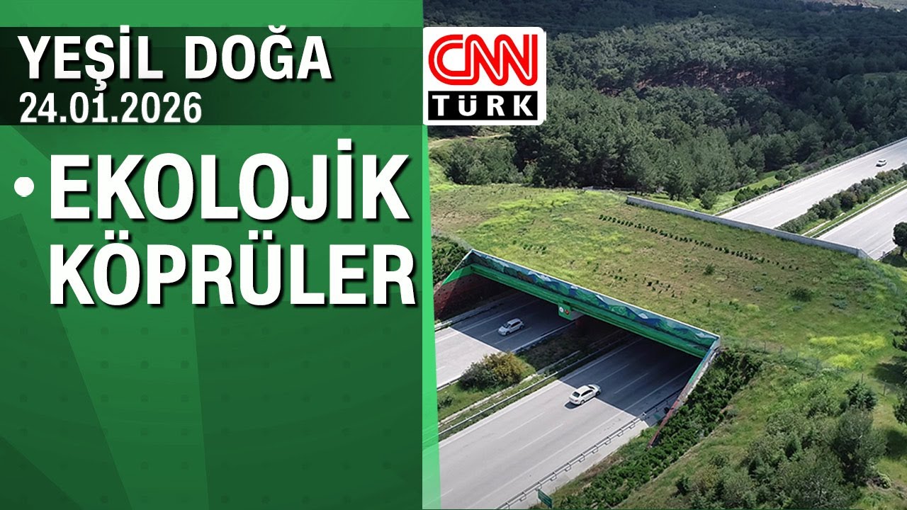 Ekolojik köprülerin önemi - Yeşil Doğa 24.01.2026 Cumartesi