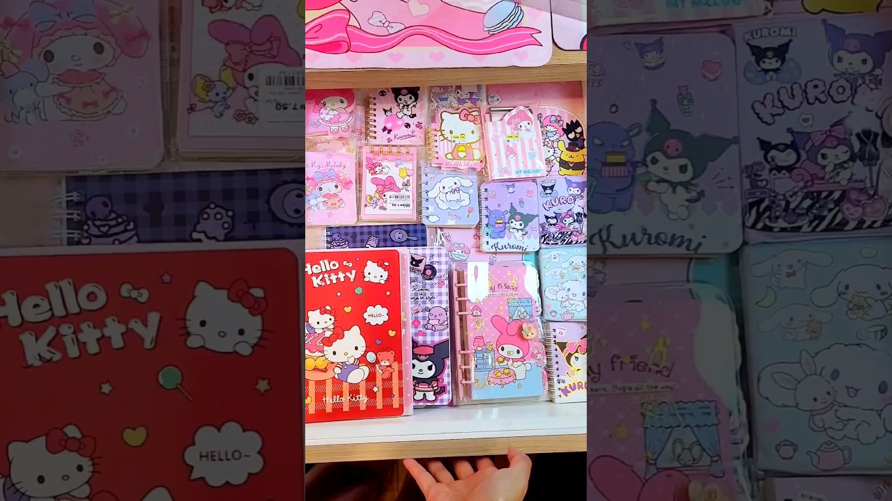 ASMR Organizing All My Sanrio Notebooks 🎀💜 #stationery