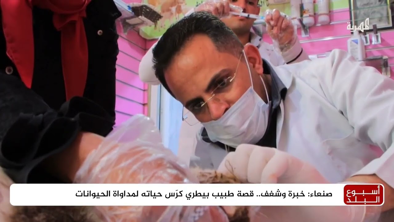 قناة المهرية الفضائية