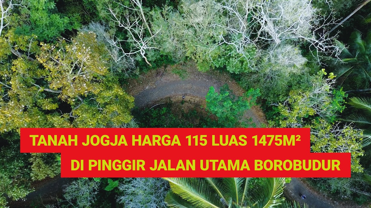 (SOLD) Tanah Jogja Harga 115JT Luas 1475m² Pinggir Jalan Utama Borobudur