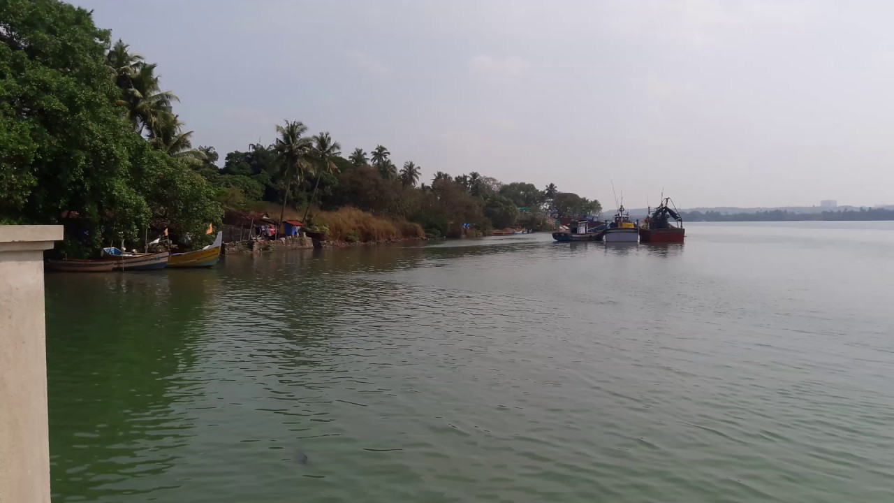 Nethravathi river is endangered