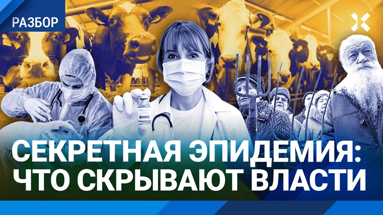 Эпидемия в России: массовый забой коров. Власть молчит, люди протестуют. Карантин в 15 регионах