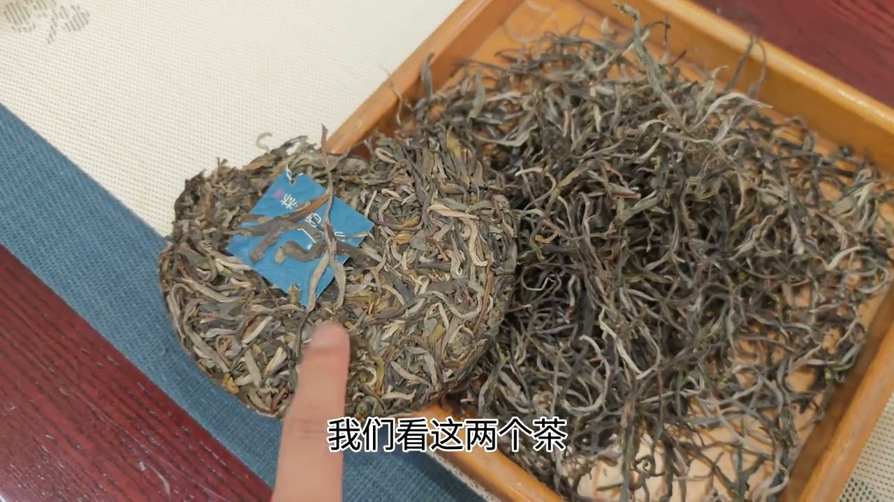普洱文去芳村茶叶市场，喝易武国有林高杆，探讨头春与二春茶区别
