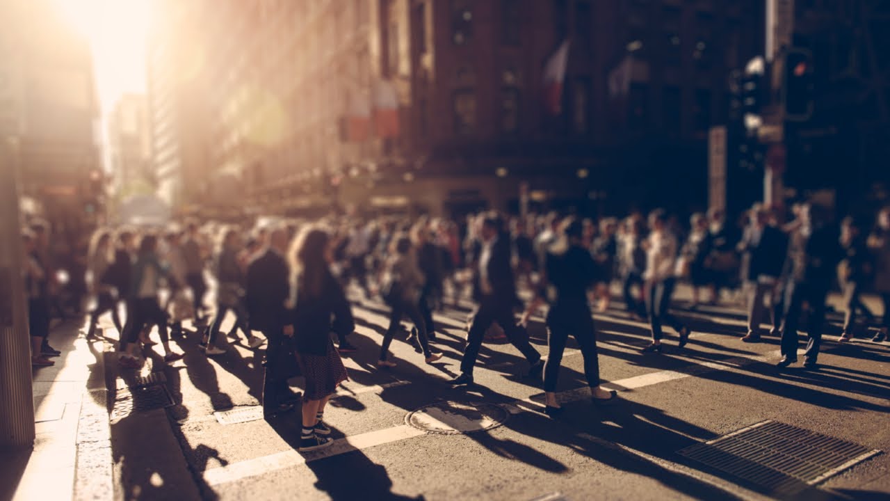 Australia needs a 'controlled and planned immigration policy'