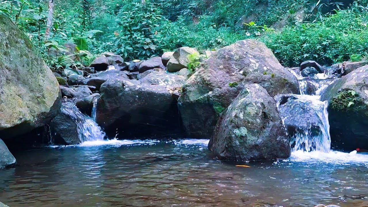 Calm River Sounds for Stress Recovery