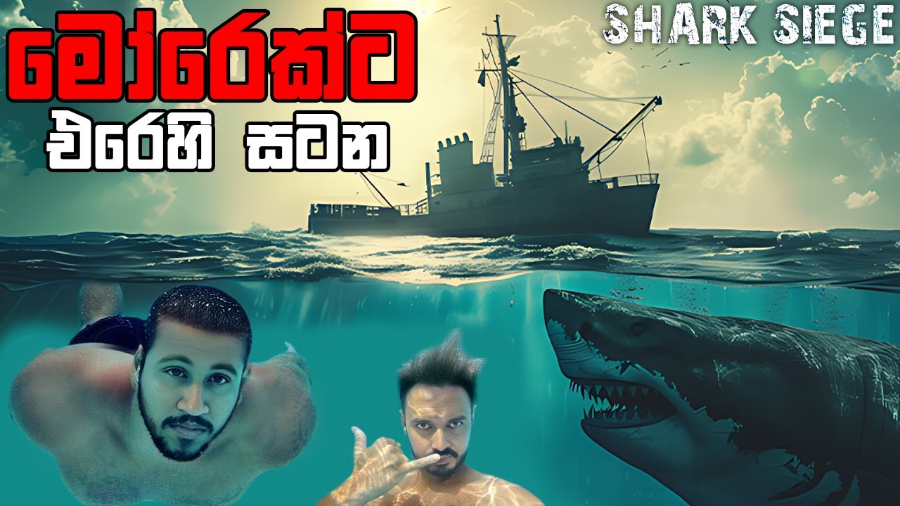 මෝරෙක්ට එරෙහි සටන | Shark Siege Survival