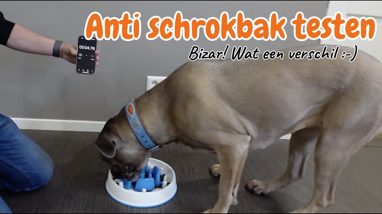 Anti Schrokbak Getest: Het Ongelooflijke Verschil van een Slowfeeder Bij Onze Honden! 🐶🍴