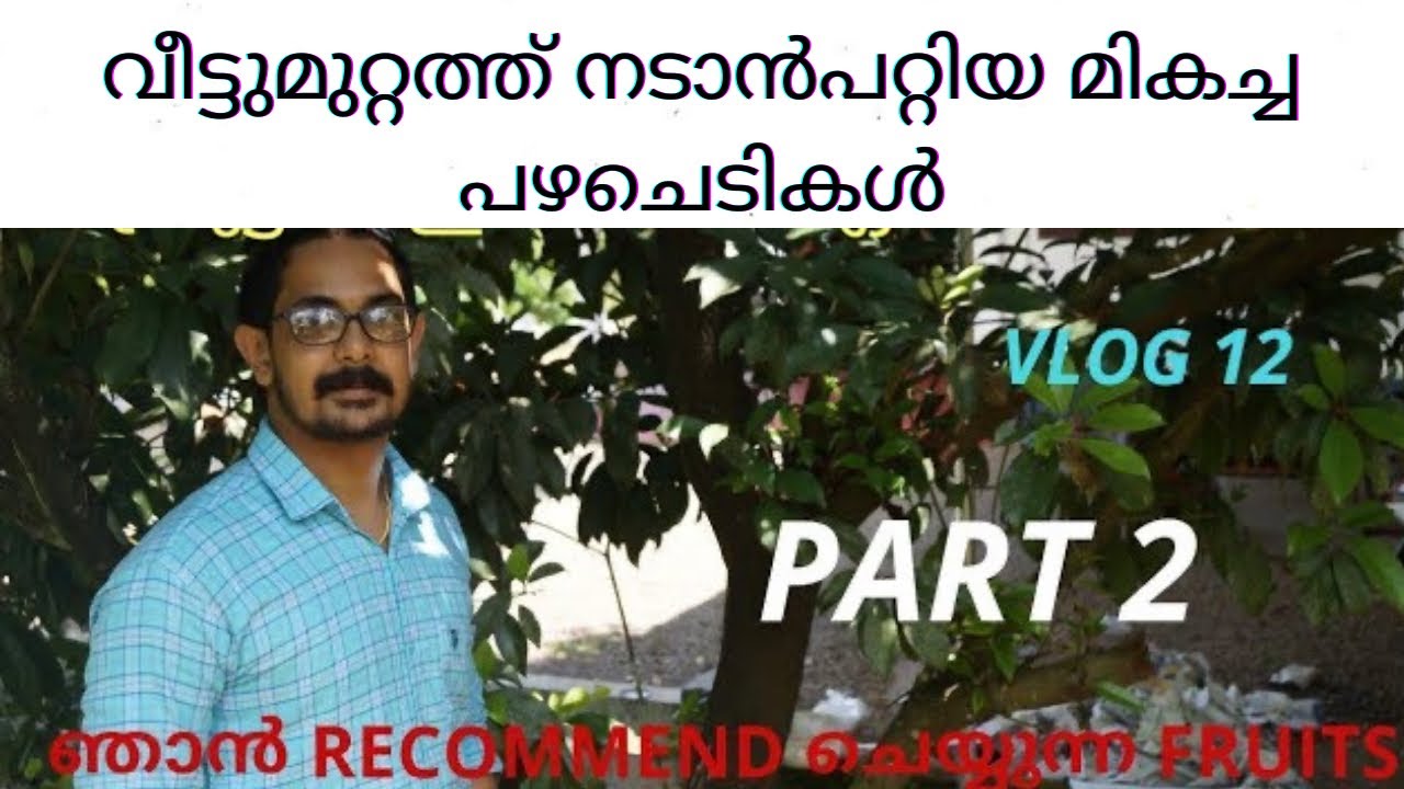 വീട്ടുമുറ്റത്തു നടാൻപറ്റിയ മികച്ച ഫ്രുട്ട്‌സ് ഇനങ്ങൾ ഏത് ഒക്കെ ?/Recommend fruits/kennas vlog/part 2