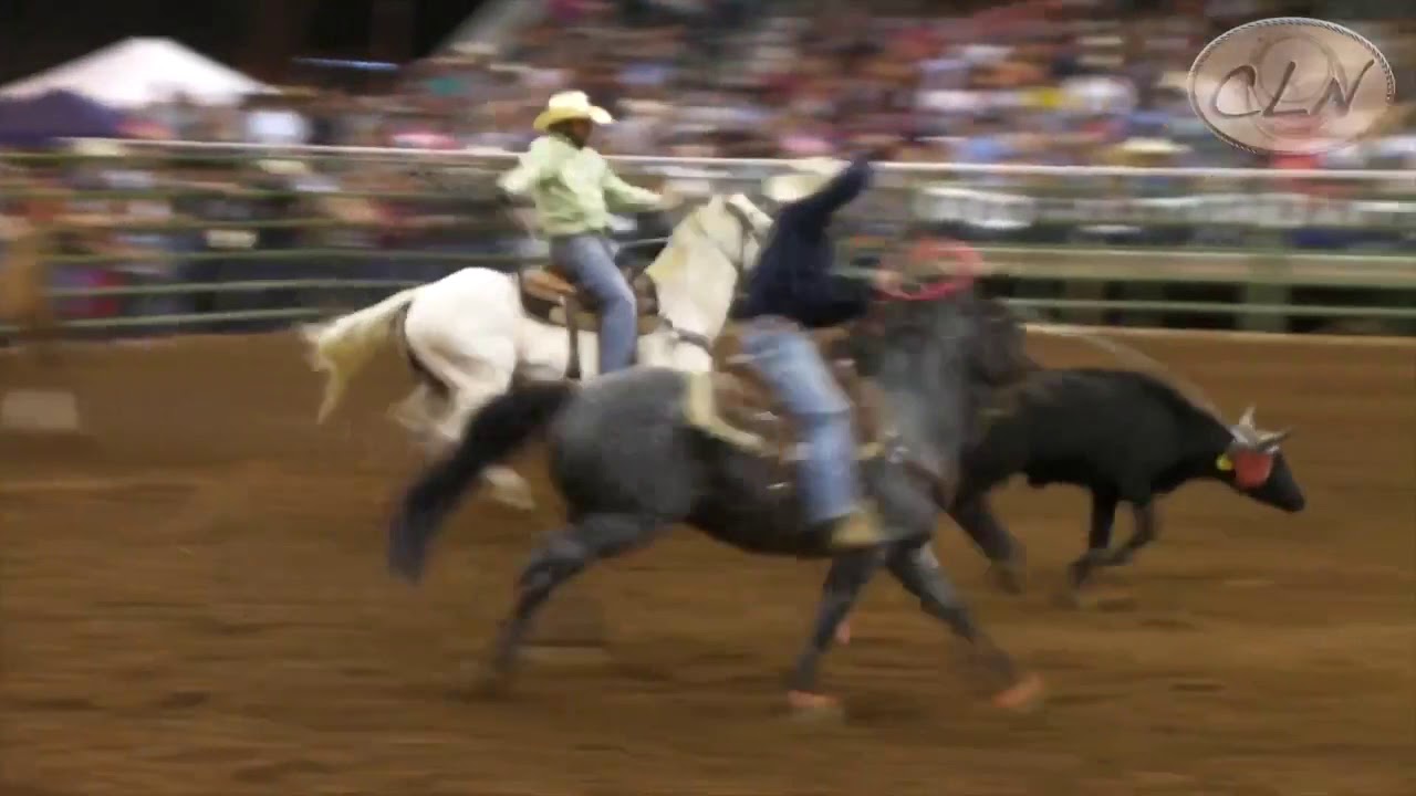 Turquoise Circuit Finals Highlight Video 2014
