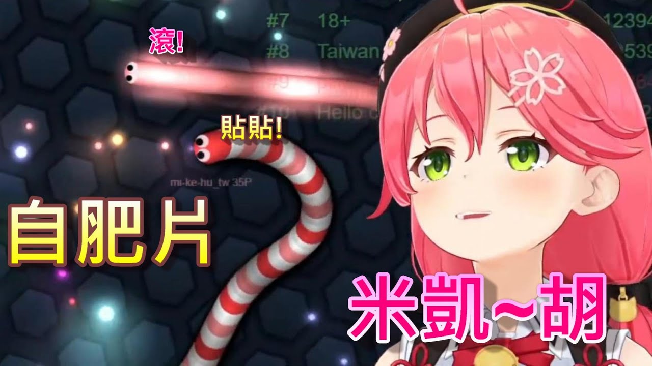 【Hololive】米凱胡大膽追求MIKO!?還被唱名了w【櫻巫女/さくらみこ】【 Slither.io 】