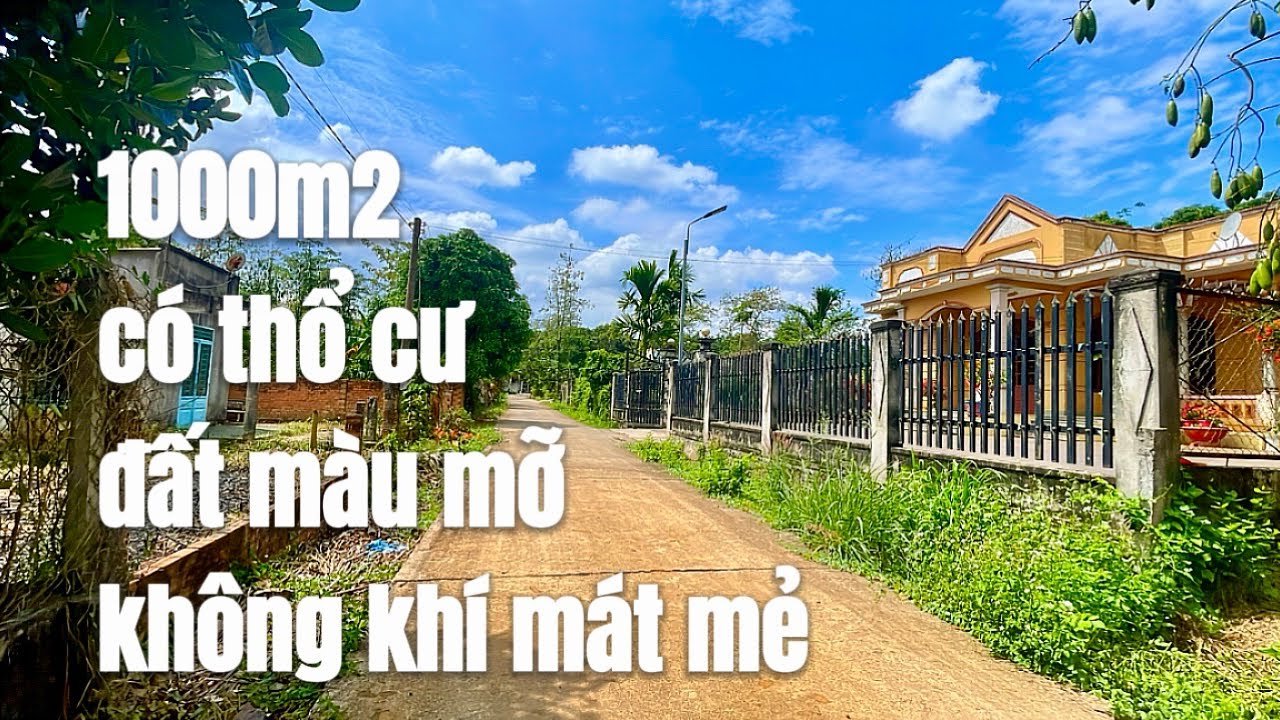 A Hải cần vốn làm ăn bán đất vườn 1000m2 sẵn thổ cư khu dân cư. Khí hậu mát mẻ trong lành ở BRVT