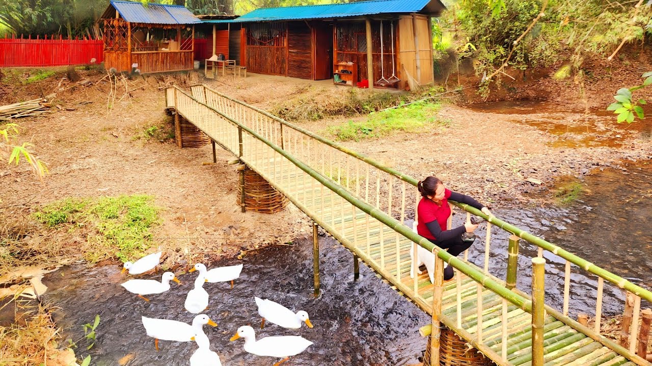 How to build and complete a simple long bamboo bridge in 3 days.