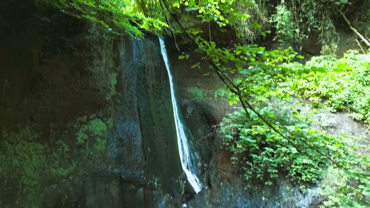 Daytrip Wolfsschlucht near Andernach Eifel
