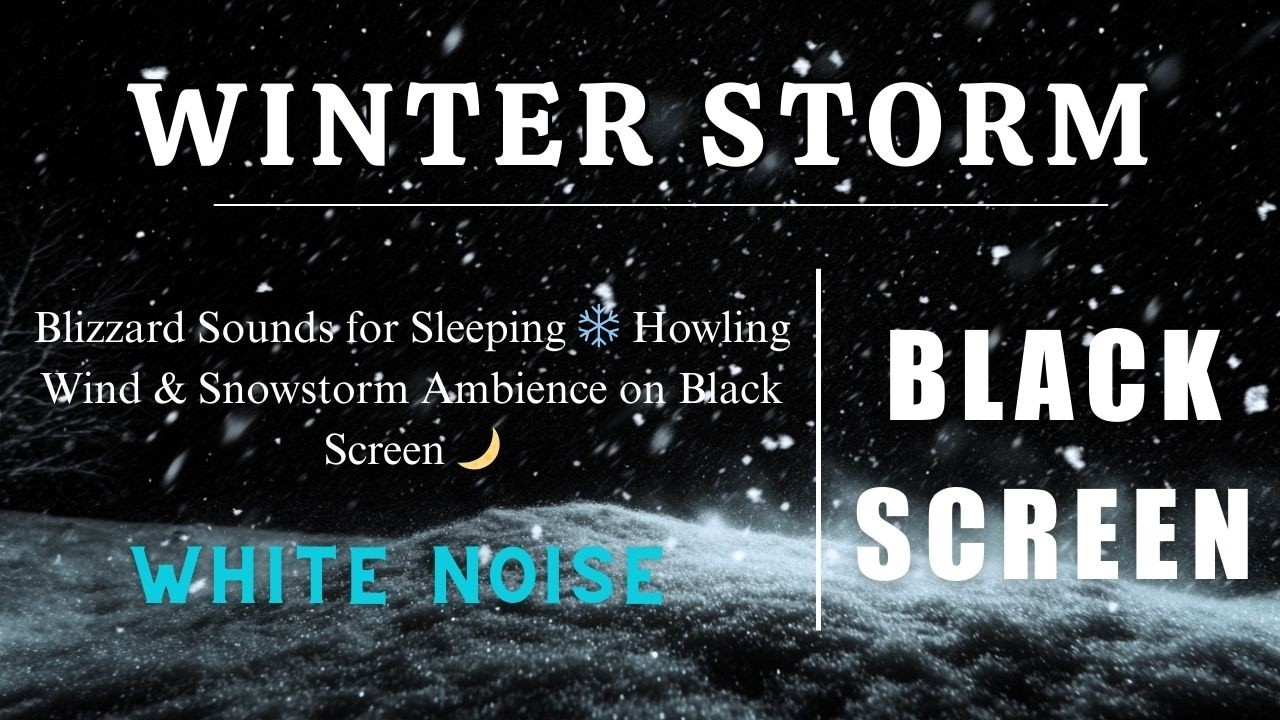 Blizzard Sounds for Sleeping ❄️ Howling Wind & Snowstorm Ambience on Black Screen 🌙