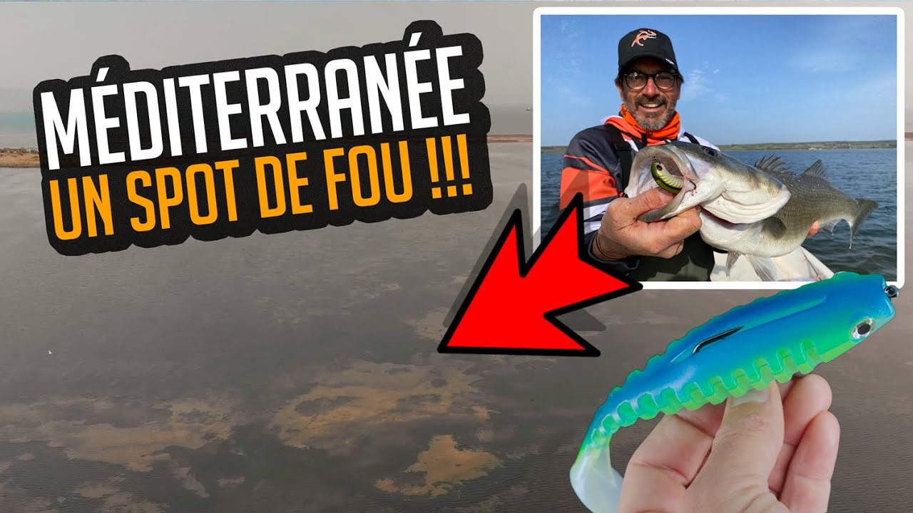 PÊCHE DU LOUP EN MÉDITERRANÉE 🥰 EN WADDING ET EN BATEAU 🎣 À LA DÉCOUVERTE D'UN SPOT EXCEPTIONNEL 😱