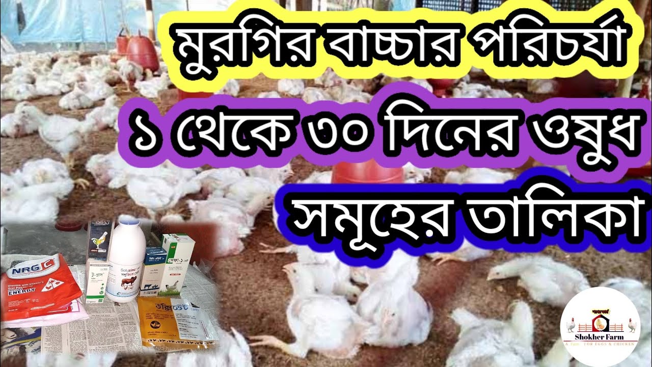 ব্রয়লার মরগির ১ থেকে ৩০ দিনের ওষুধের তালিকা/medicines for 1 to 30 days of poultry farm #শখের ফার্ম