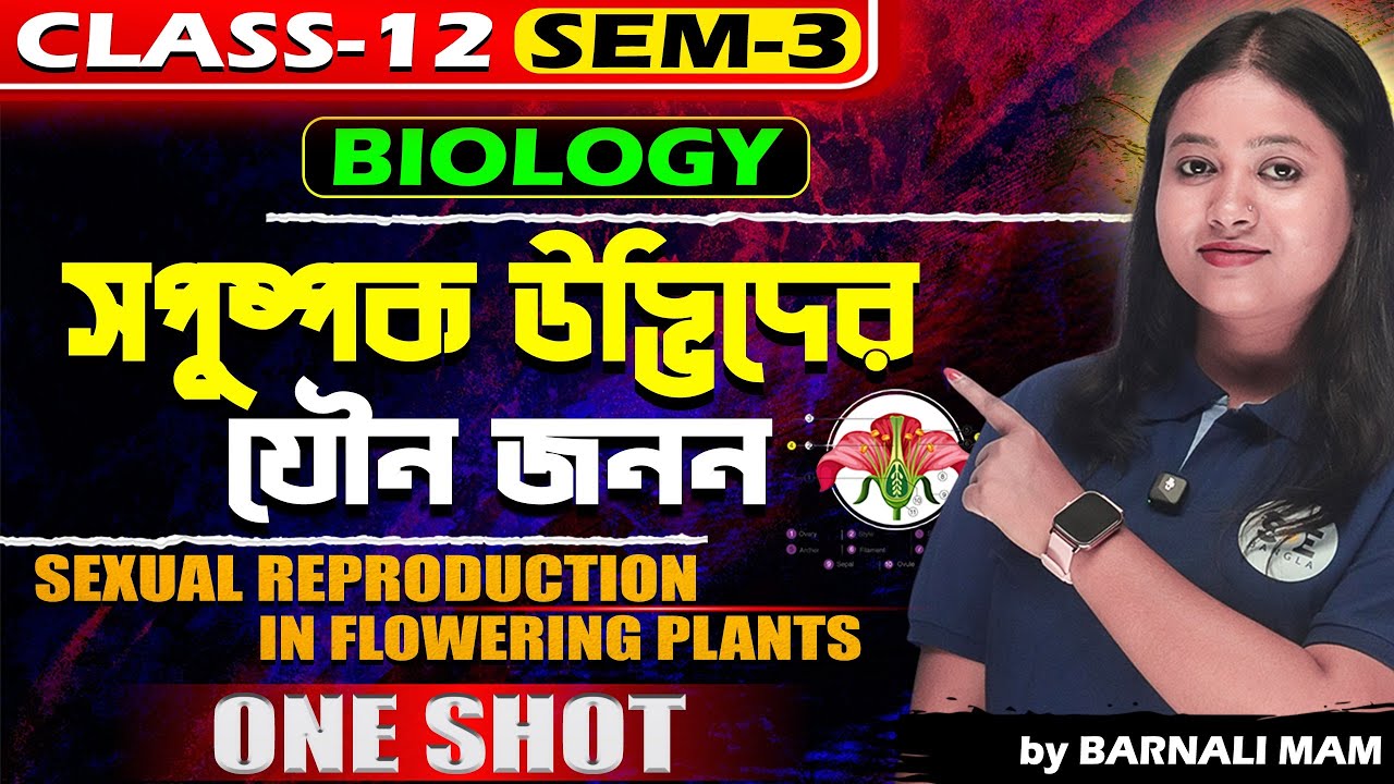 Class 12 Biology সপুষ্পক উদ্ভিদের যৌন জনন |Sexual Reproduction in Flowering Plants Class 12 ONE SHOT