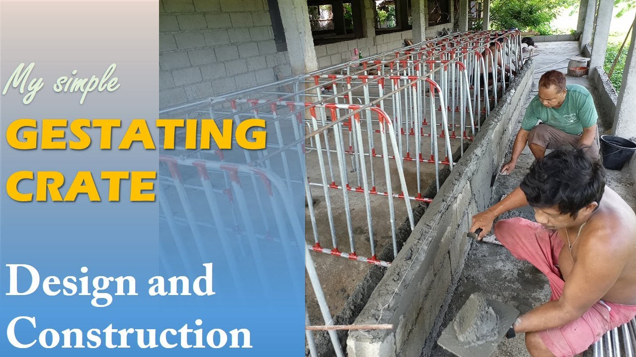 SIMPLENG KULUNGAN NG MGA INAHIN | GESTATING CRATE | PIG FARMING #PIGGERY