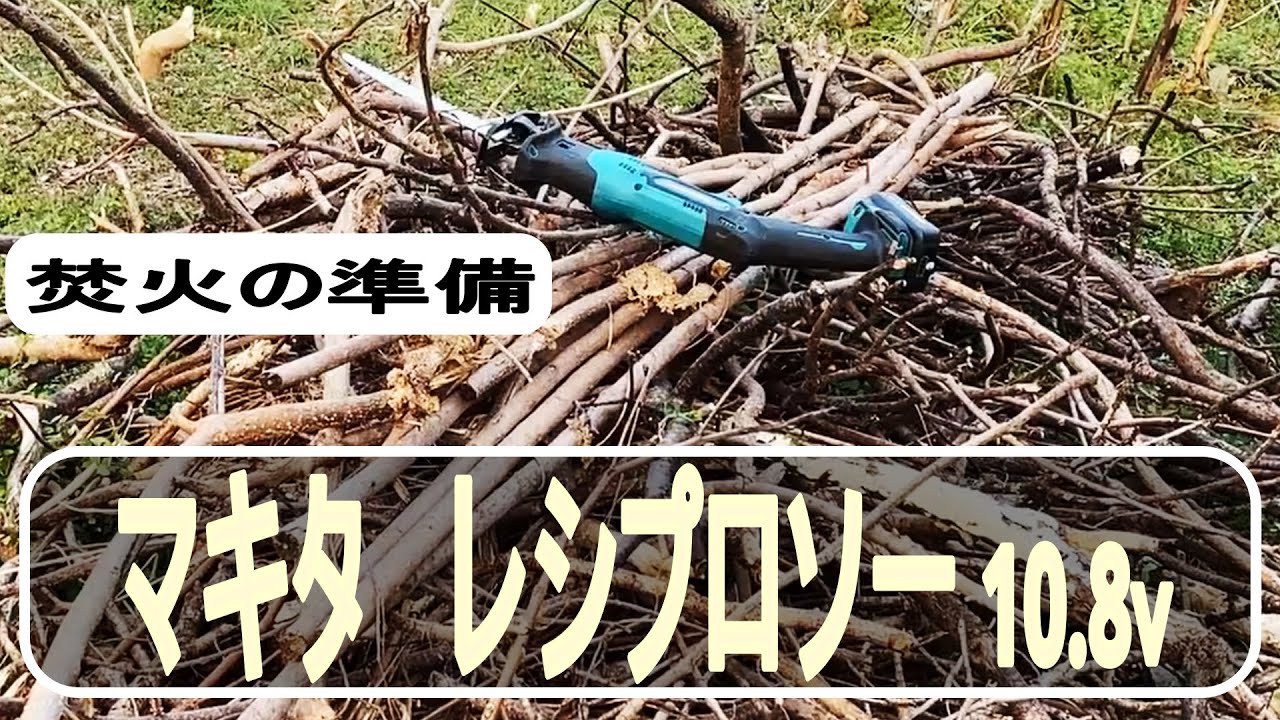 【ビギナーズ枝切り】マキタ軽い小型レシプロソー10.8ｖ　畑の細木を焚火用に切る【社外バッテリー3.0Ａｈいい感じ】