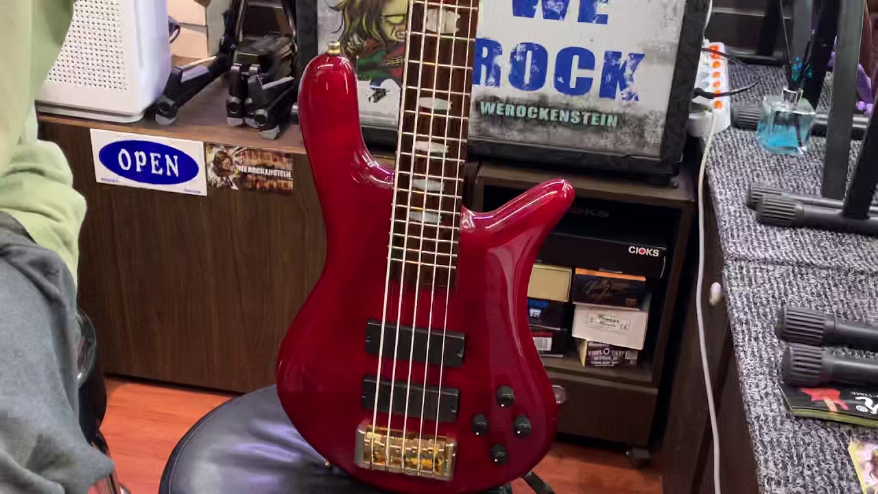 중고 Euro Spector 5Lx 초간단리뷰