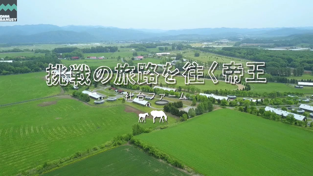 【牧場紹介】社台ファーム