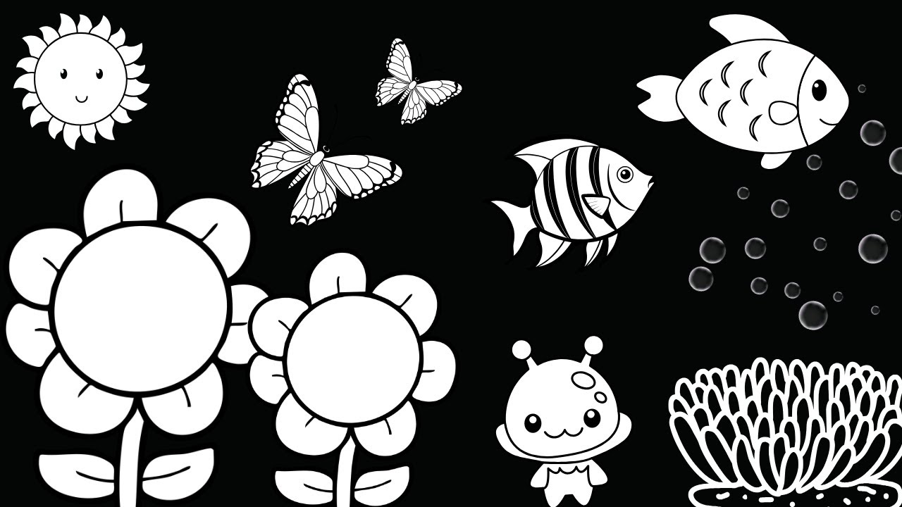 Baby Sensory Video - Black And White Baby Stimulation - Newborn Sensory Stimulation #babyvideos 
