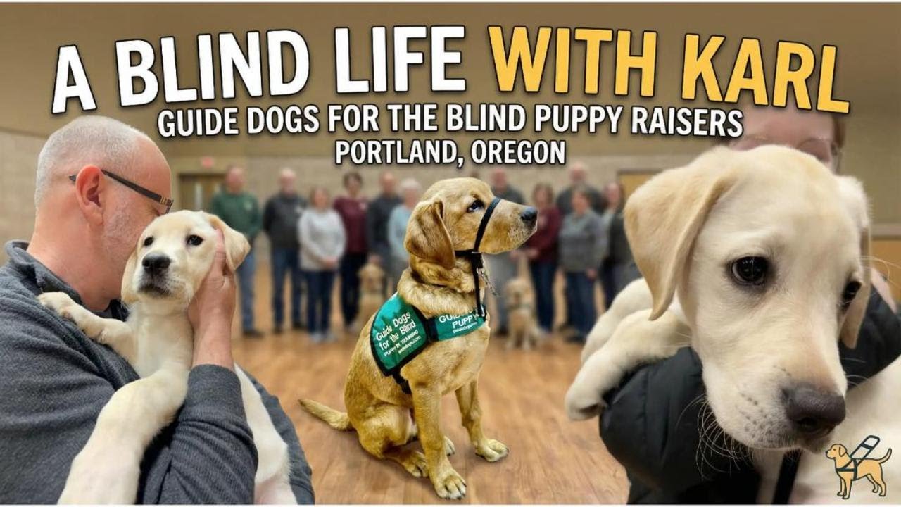 A Blind Life: Q&A's with Guide Dog Puppy Raisers in Portland, Oregon