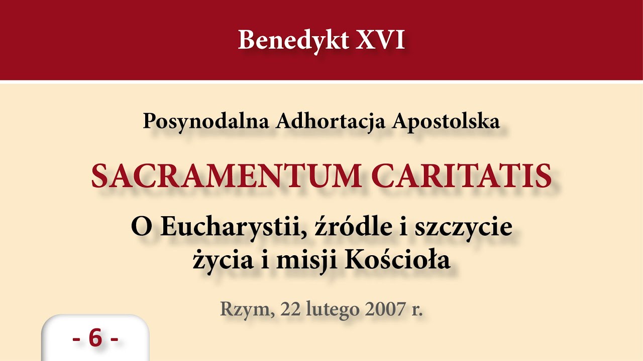 #305 Sacramentum Caritatis &ndash; 6
