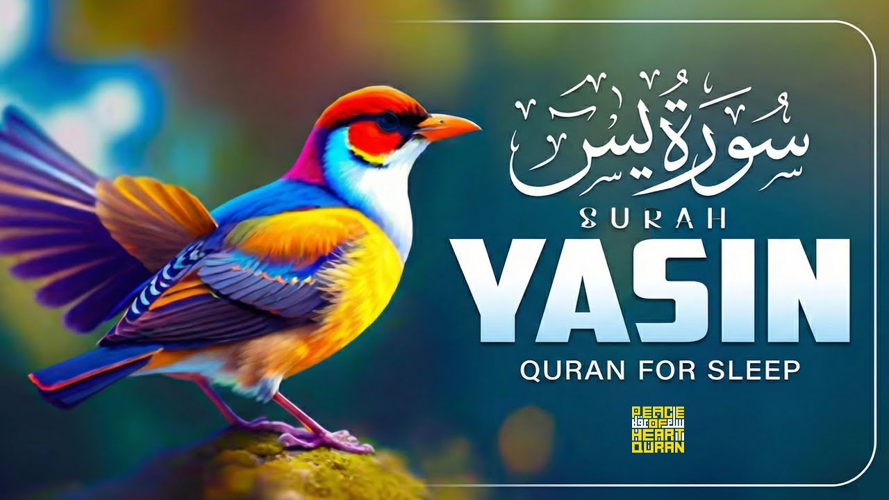 Surah Yaseen – Powerful Recitation for Forgiveness and Allah’s Mercy | Peace Of Heart Quran