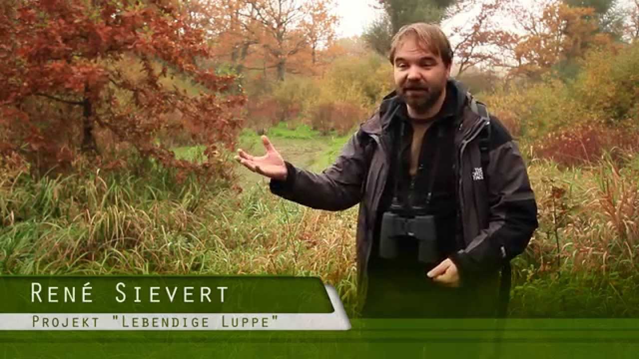 Lebendige Luppe - Leipziger Auwald