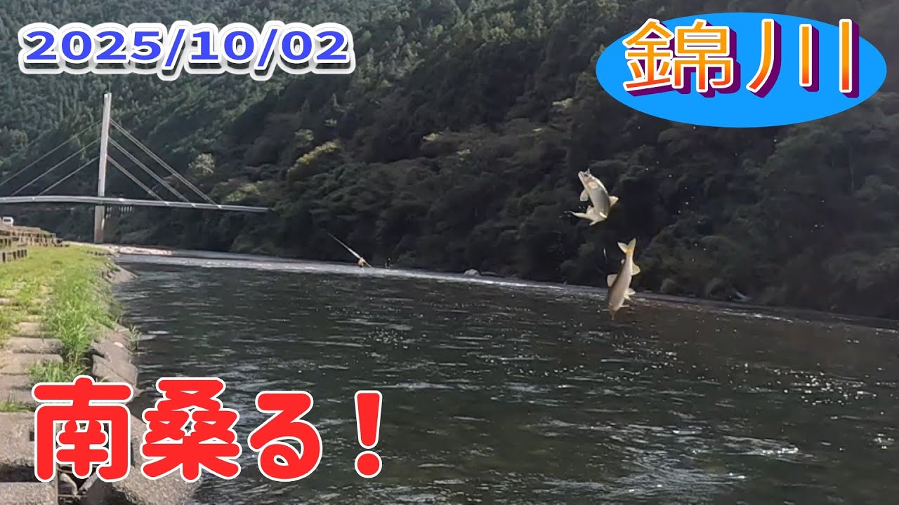 山口県錦川、南桑で勝手に2時間勝負。入れ掛かりでも負けました。