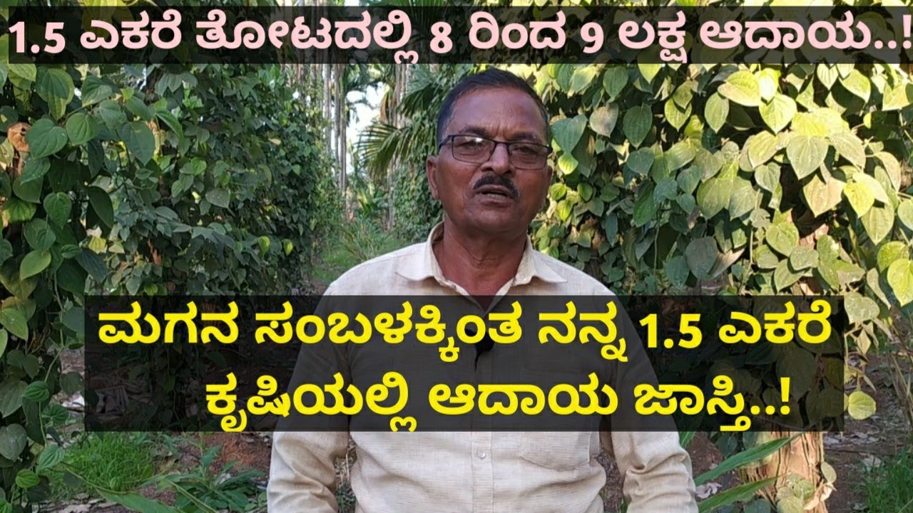 1.5 ಎಕರೆ ತೋಟದಲ್ಲಿ 8 ರಿಂದ 9 ಲಕ್ಷ ಆದಾಯ..! ಮಗನ ಸಂಬಳಕ್ಕಿಂತ ನನ್ನ ಕೃಷಿಯಲ್ಲಿ ಆದಾಯ ಜಾಸ್ತಿ..!