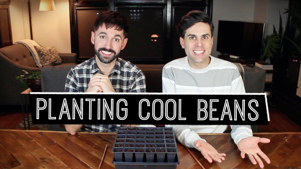 Planting Ruby Moon Hyacinth Beans | Billy & Pat