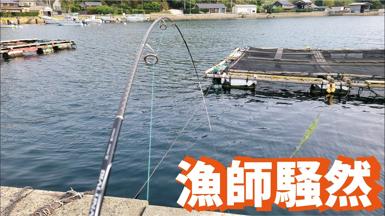 みかんを堤防そばのイケス隣に投げ込むと漁師も驚く化物があがってきた！！！