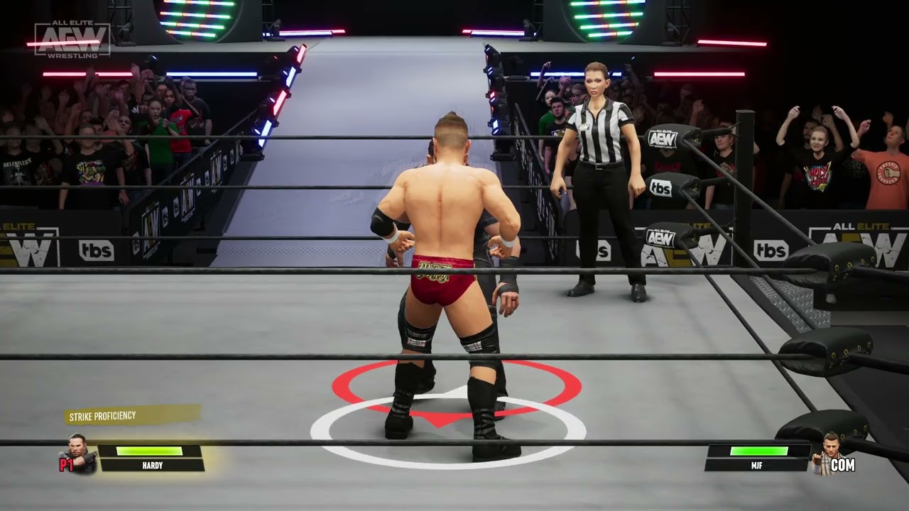 AEW Fight Forever