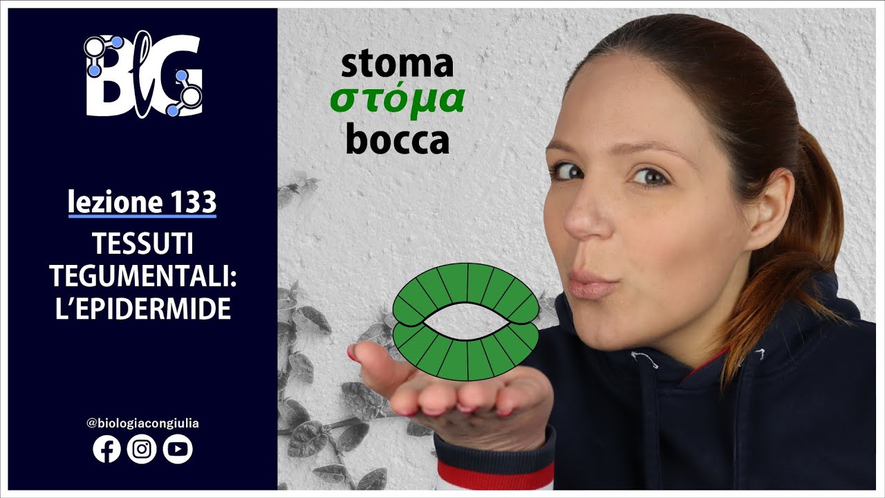 TESSUTI TEGUMENTALI: L'EPIDERMIDE (cuticola, rizoderma e stomi)