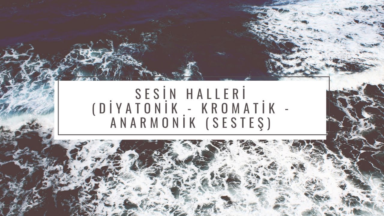 Sesin Halleri: Diyatonik - Kromatik - Anarmonik... (www.muzikteorisi.com)