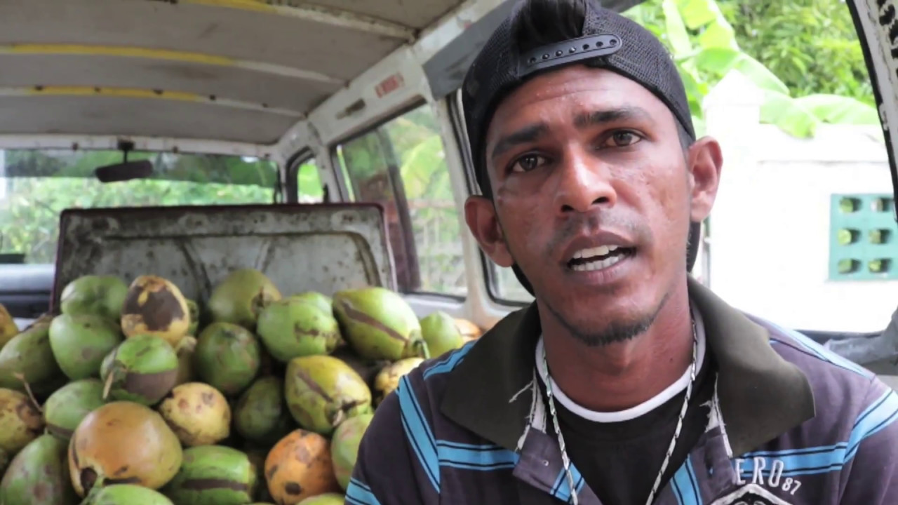 Guyanese Young Entrepreneurs (Coconut Man)